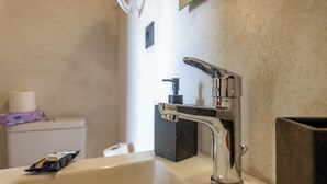 Un lavabo amb un aire de metall cromat, un dosificador de sabó i un vàter amb un rotlle de paper higiènic.