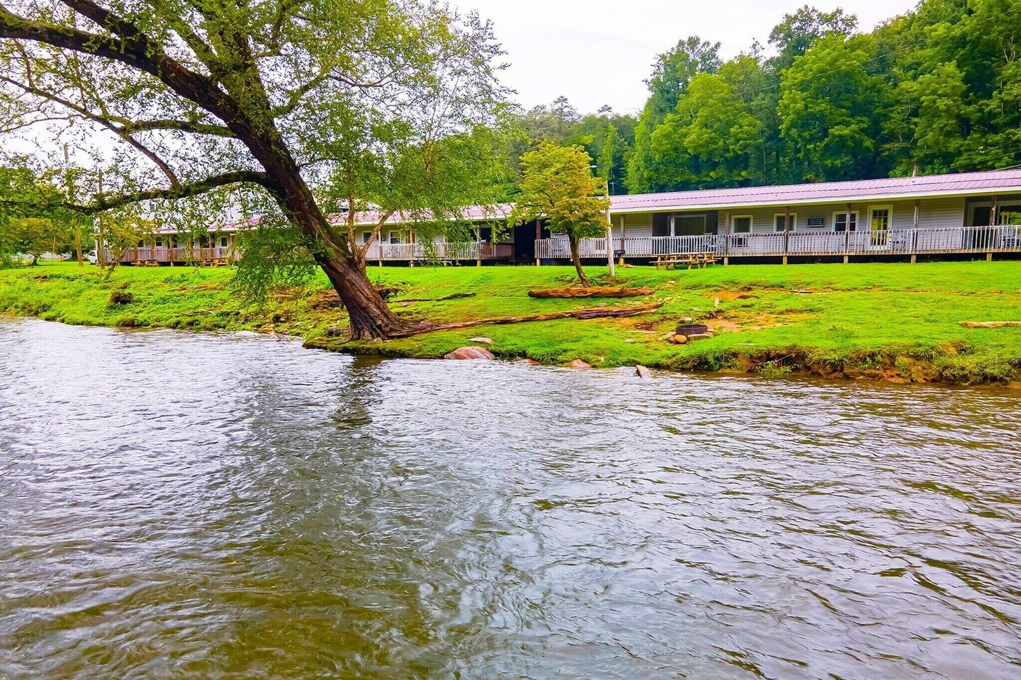 A riverside view of a hotel with a grassy area, a tree, and a building with a porch.