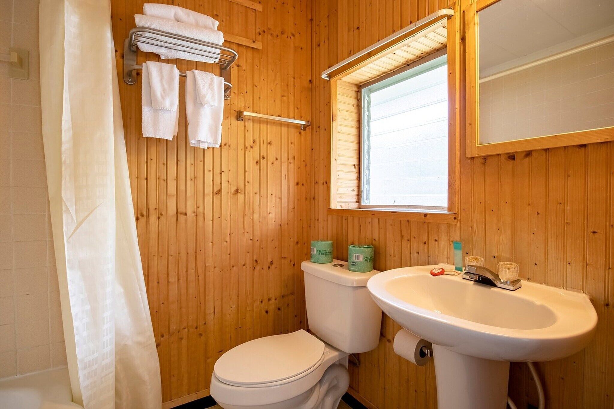 Shower, hair dryer