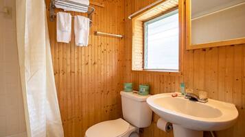 Shower, hair dryer