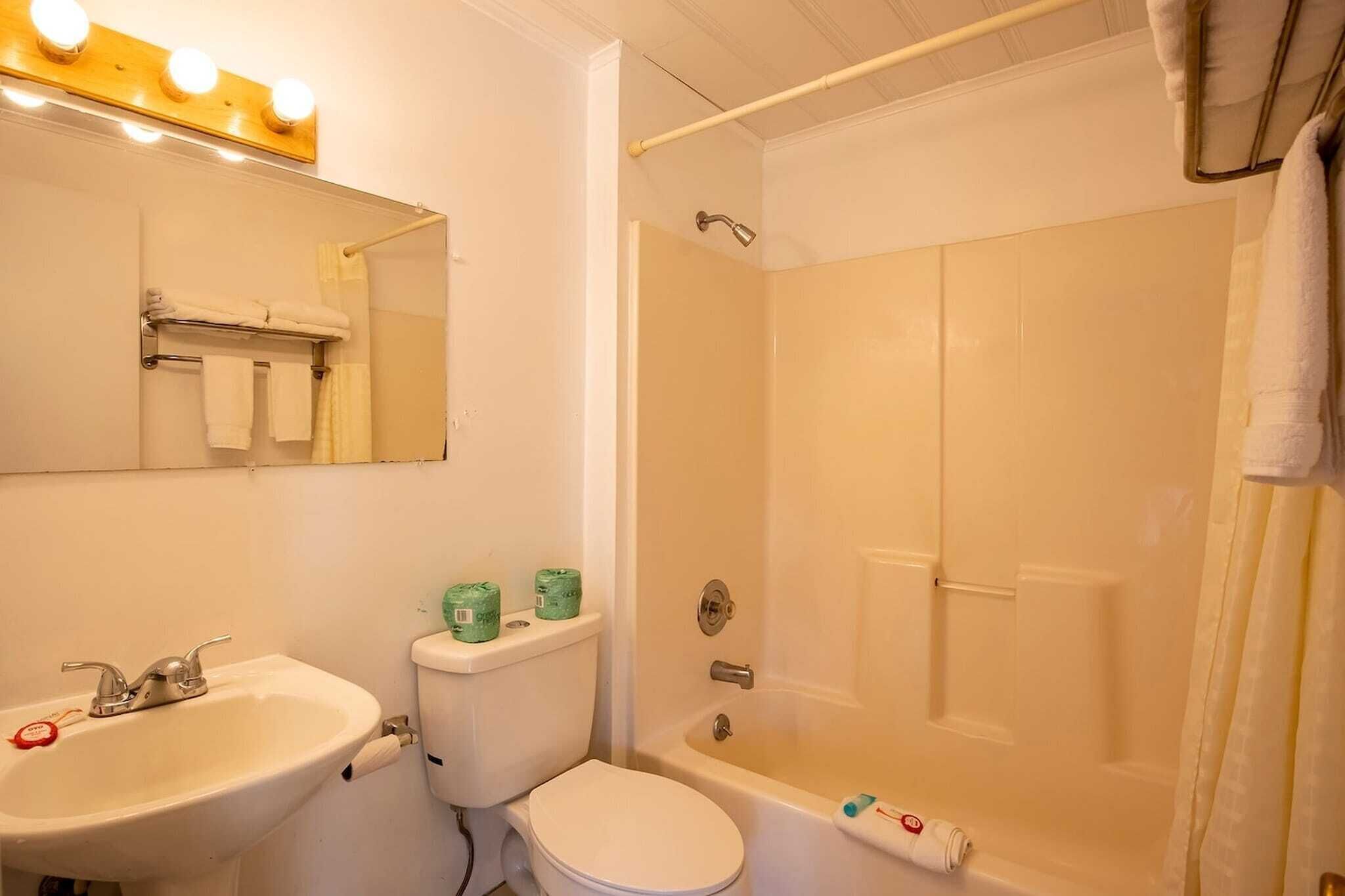 Shower, hair dryer