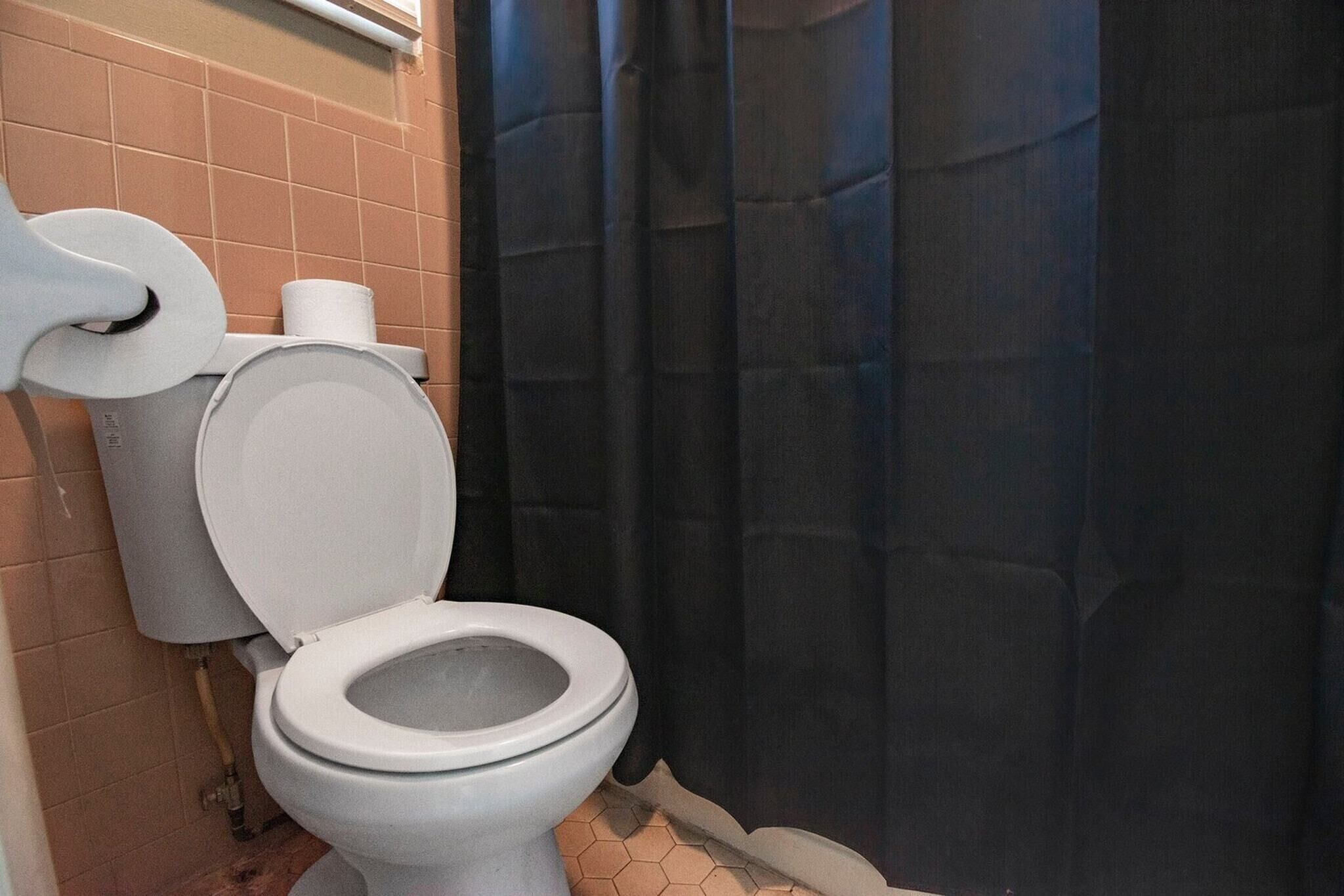 A bathroom with a toilet, a roll of toilet paper, and a black shower curtain.
