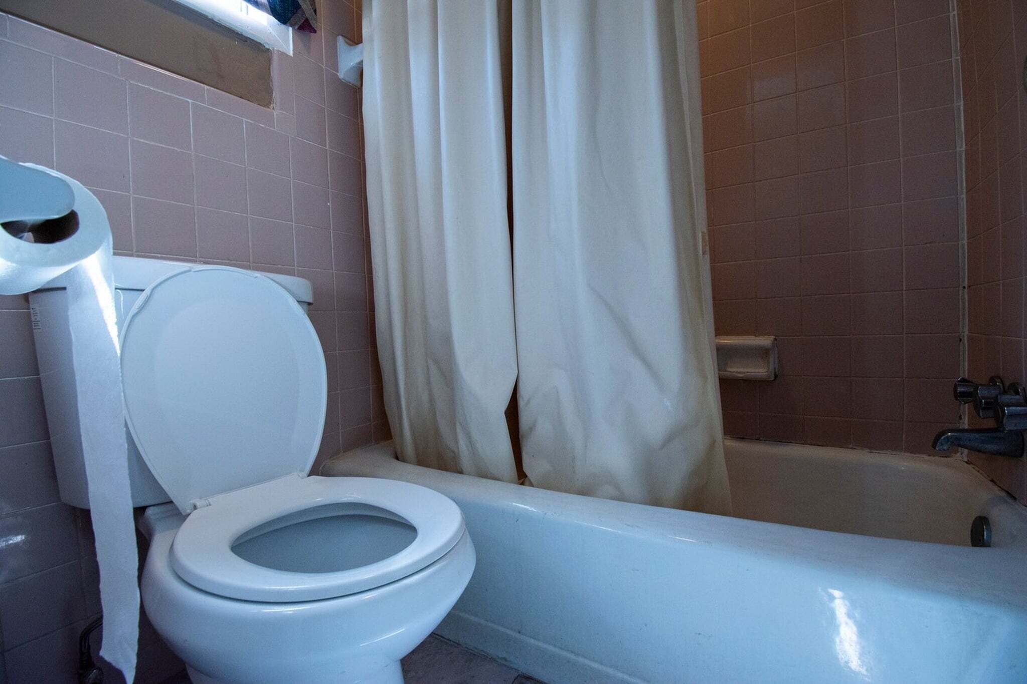 Douche, serviettes fournies