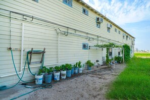Property grounds - Queen Bed with Kitchenette Non-Smoking (Corpus Christi TX)