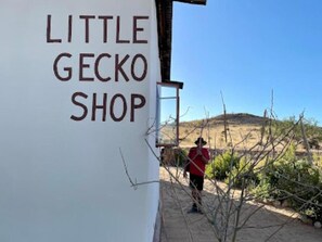 A building with a sign reading 'LITTLE GECKO SHOP'. - Camp Gecko (Solitaire)
