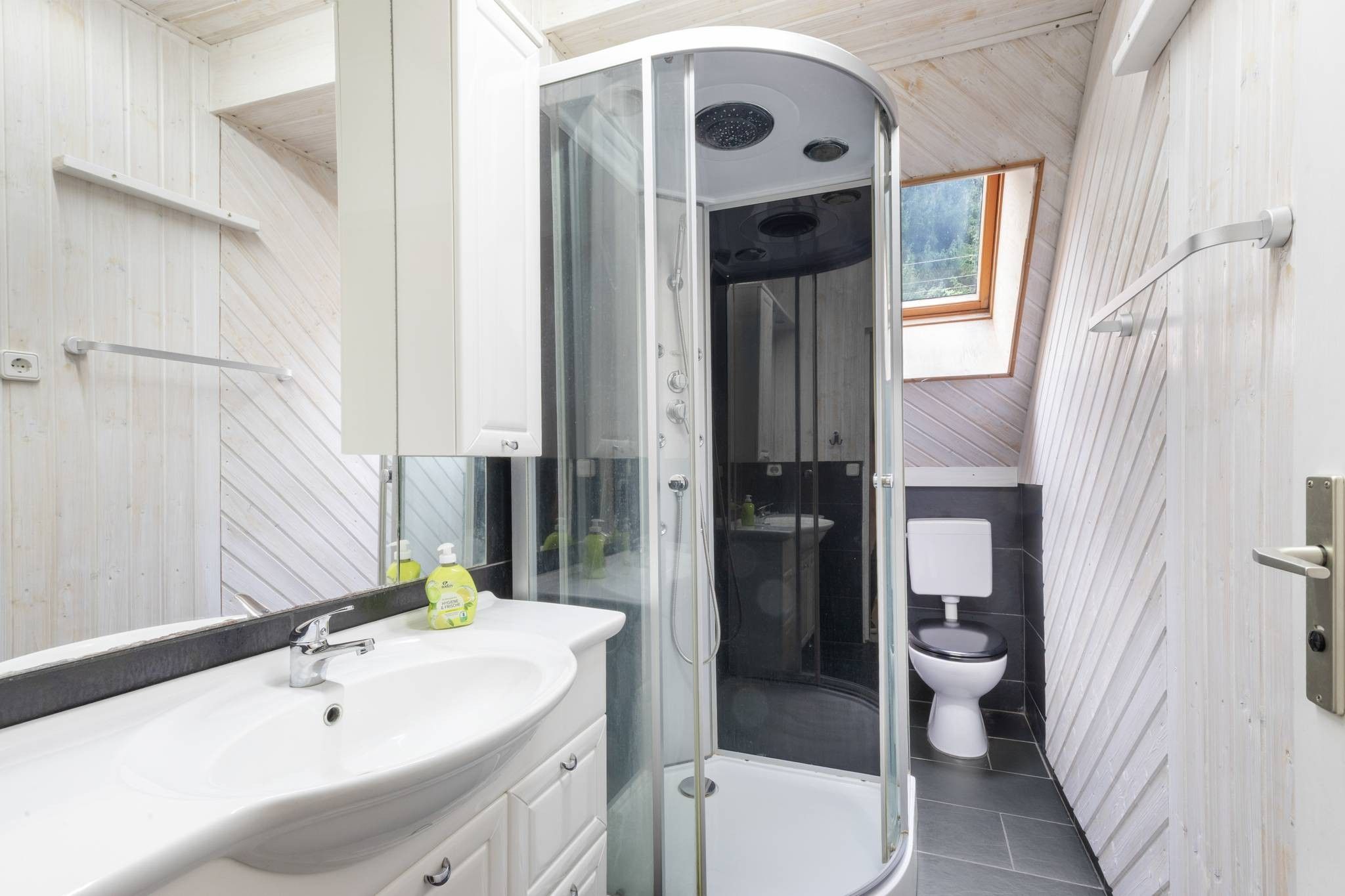 Un baño moderno con ducha envuelta en vidrio, un lavabo blanco y un inodoro.