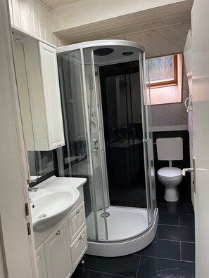 Ein Badezimmer mit einer Duschkabine, einem weißen Waschbecken und einer Toilette.