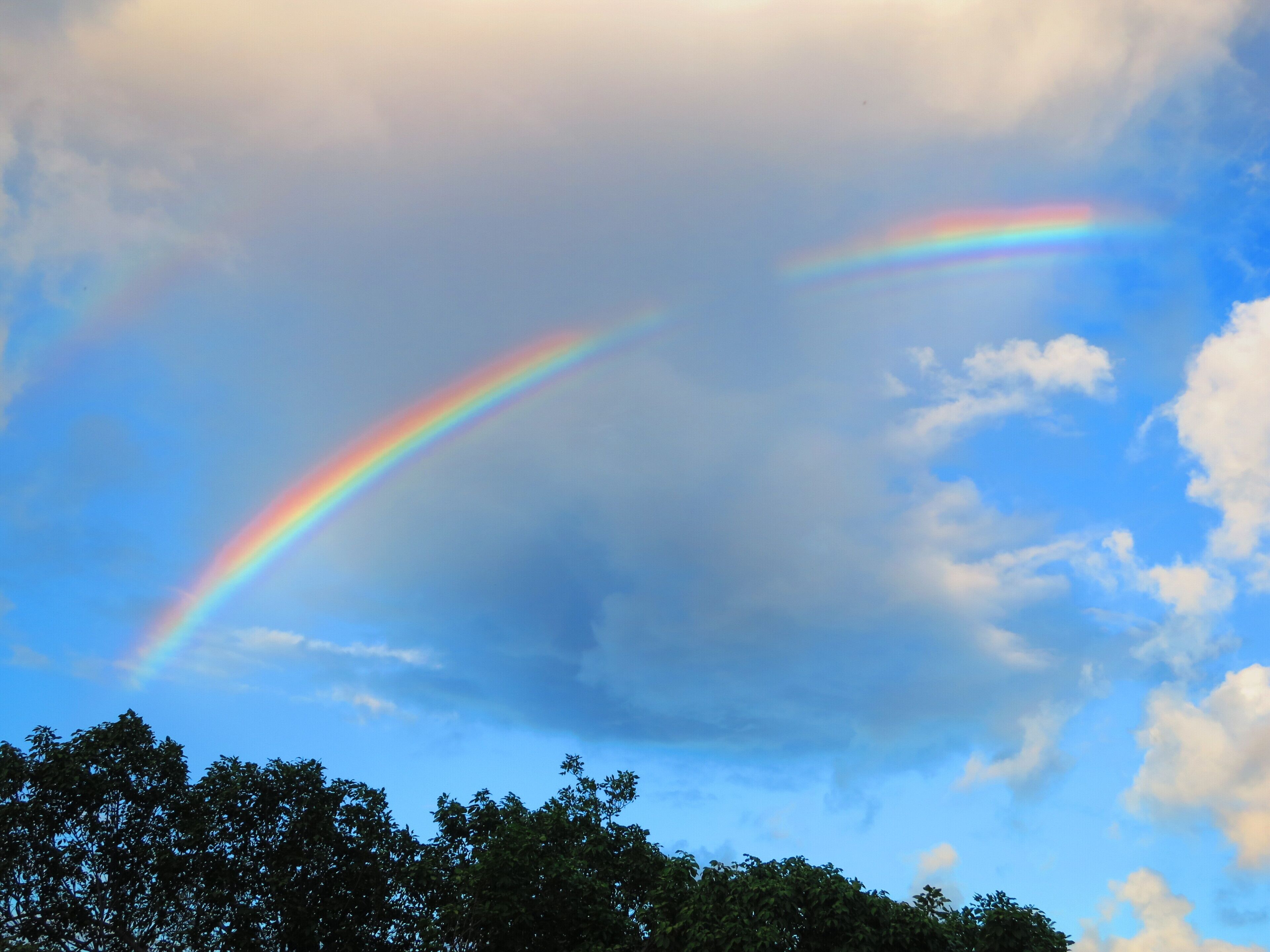 A clear sky with two rainbows and a tree line at the bottom.
