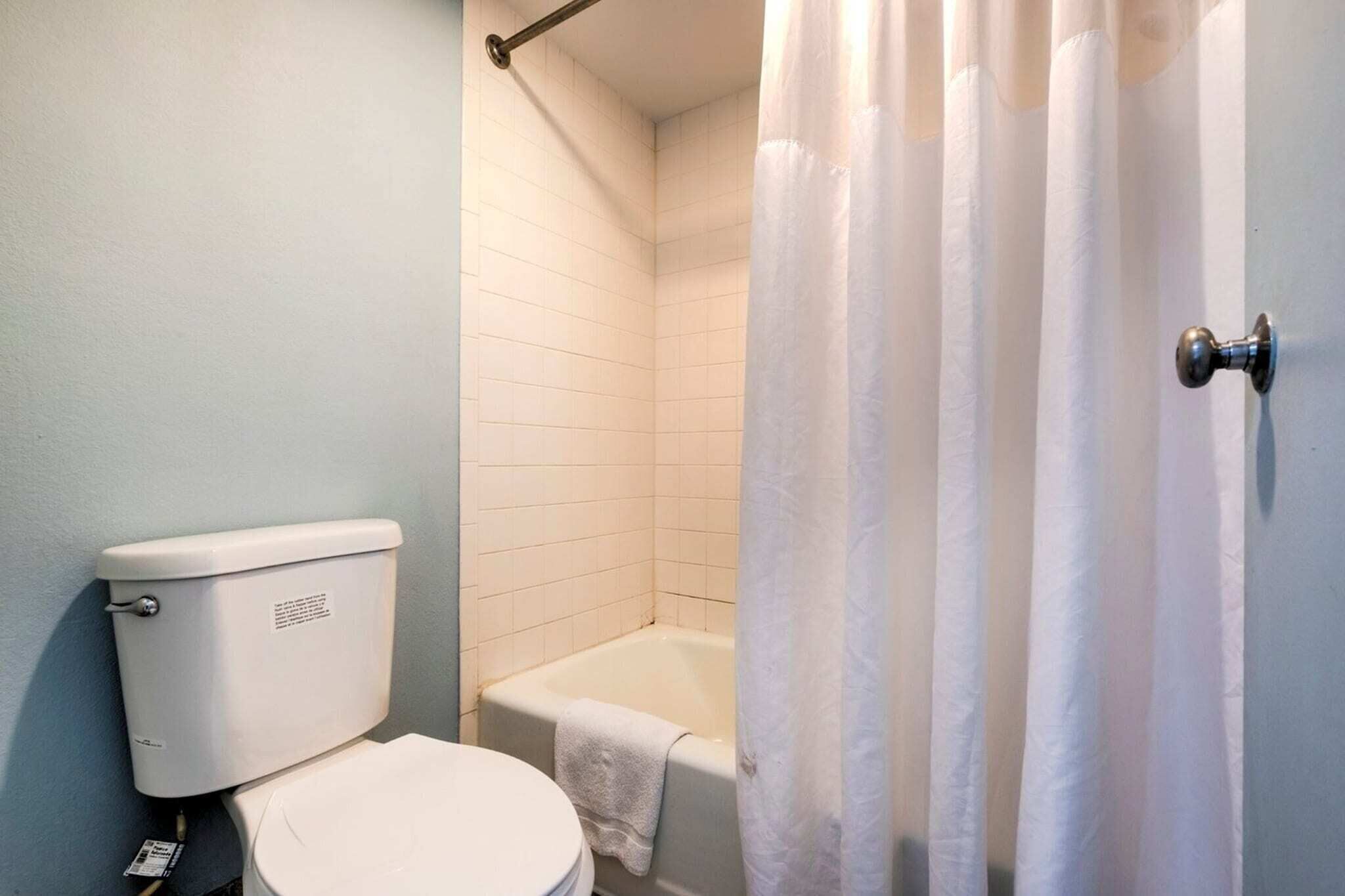 Shower, hair dryer