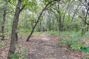 A forested area with a dirt path.