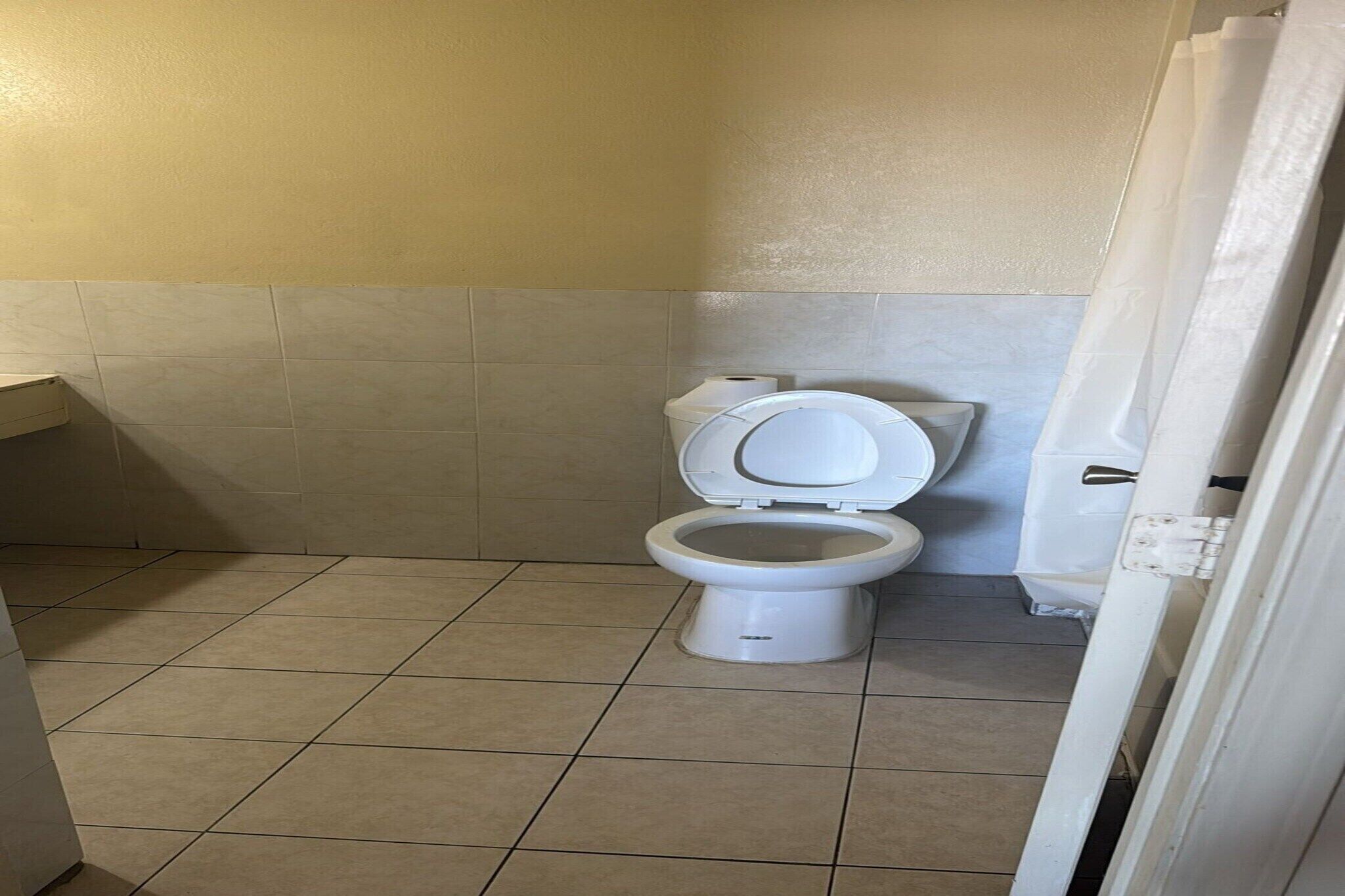 Ein Badezimmer mit Toilette, einem weißen Waschbecken und einer Duschvorhang.