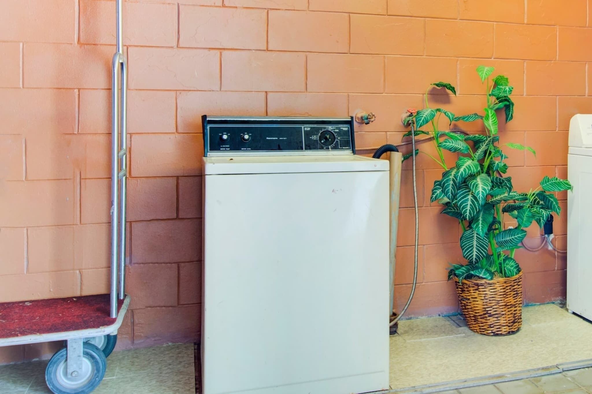 Une petite machine à laver adossée à un mur de briques, un chariot en métal et une plante en pot.