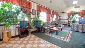 A living room with striped walls, a large potted plant, a sofa, a coffee table, and a television.