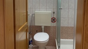 A bathroom with a toilet, a shower, and a window. - Apartment Vir 5 (Vir)