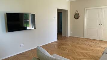 Fernseher