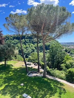 A lush green landscape with a prominent tree, a stone bench, and a clear view of a distant town. - Apartment 'The Mill' in Historic Villa near Lake Como (Caslino D'erba)