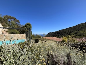 Ein Poolbereich mit Blick auf eine Hügelkuppe und ein Gebäude mit roten Ziegeln.