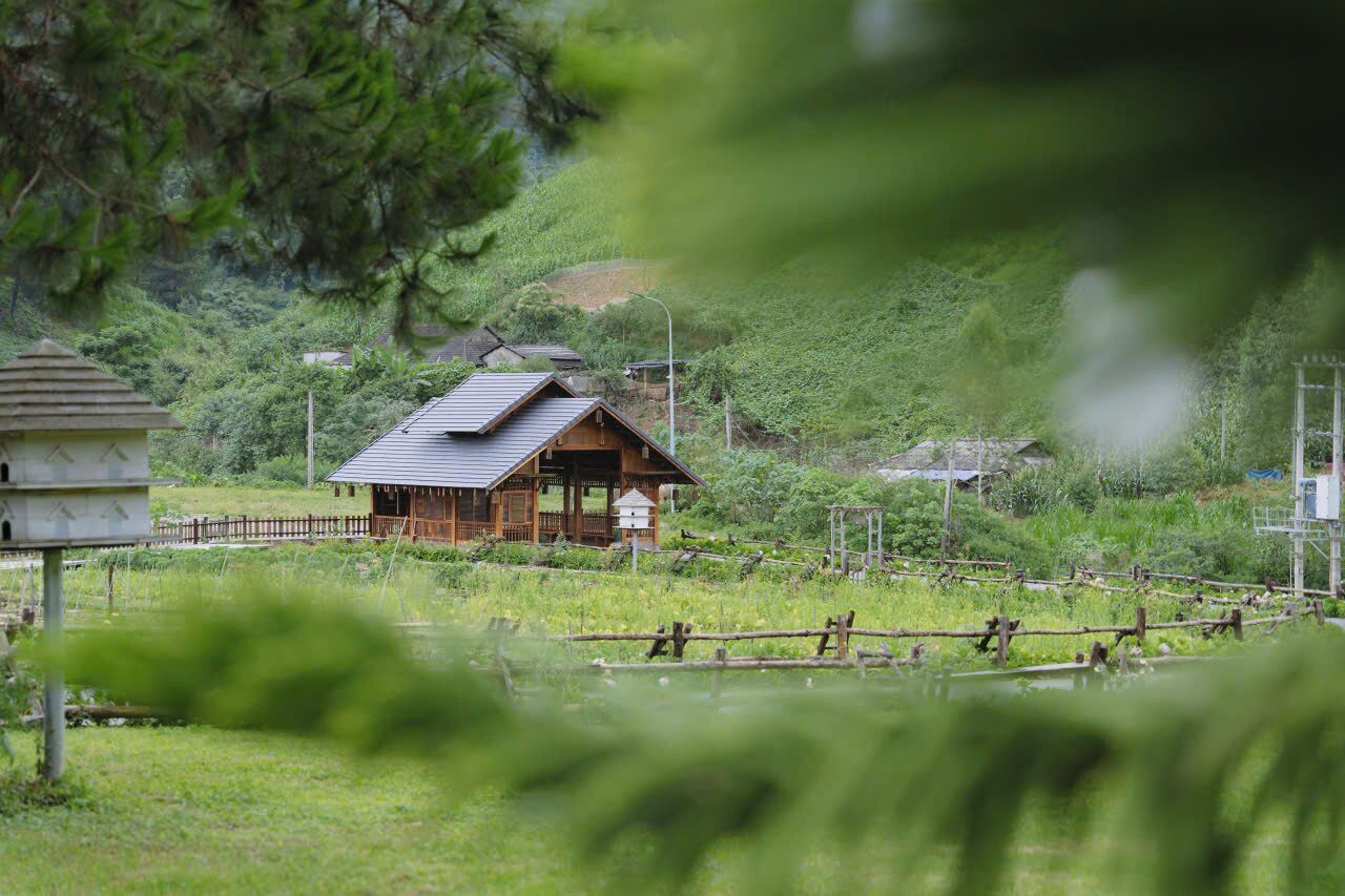 Una cabaña de madera con techo inclinado, rodeada de abundante vegetación y un pequeño estanque.