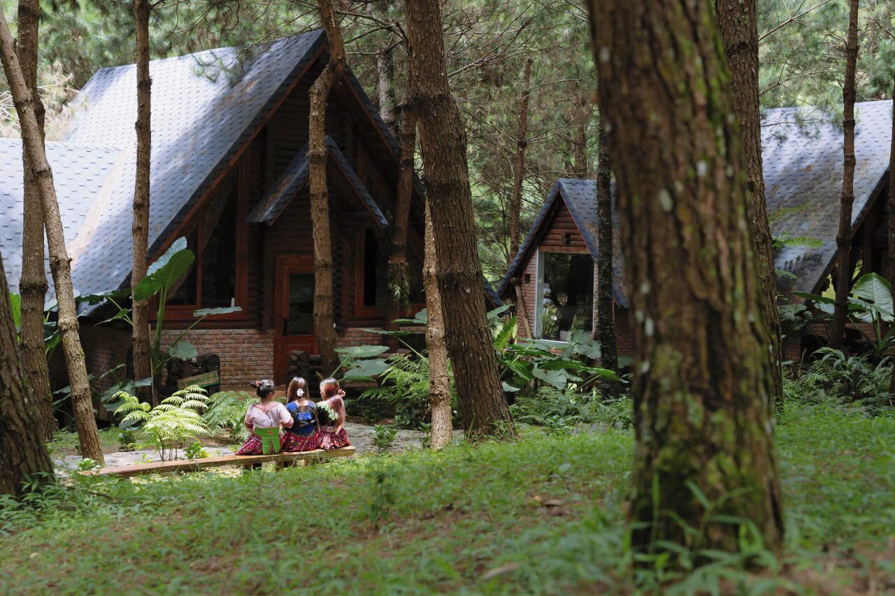 Une cabane en bois, nichée au cœur d’une forêt, entourée d’arbres et de fougères.