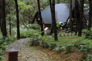 Eine rustikale Holzhütte, umgeben von dichtem Wald, mit einem Kiesweg, der dorthin führt.