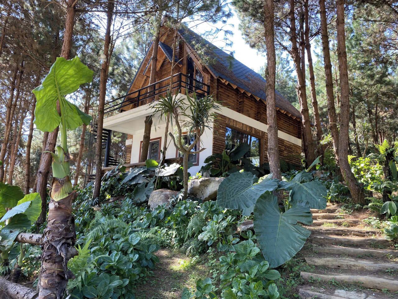 Villa, Gartenblick | Außenbereich