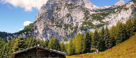 A rustic cabin with a wooden exterior, surrounded by a grassy field and a mountain backdrop.