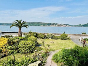 Paisaje costero con una palmera, abundante vegetación y vista al mar.
