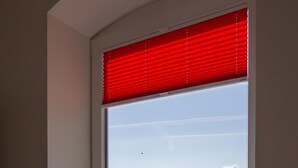 Ein Fenster mit rotem Rollo, einer Topfpflanze und Blick auf ein grünes Feld.