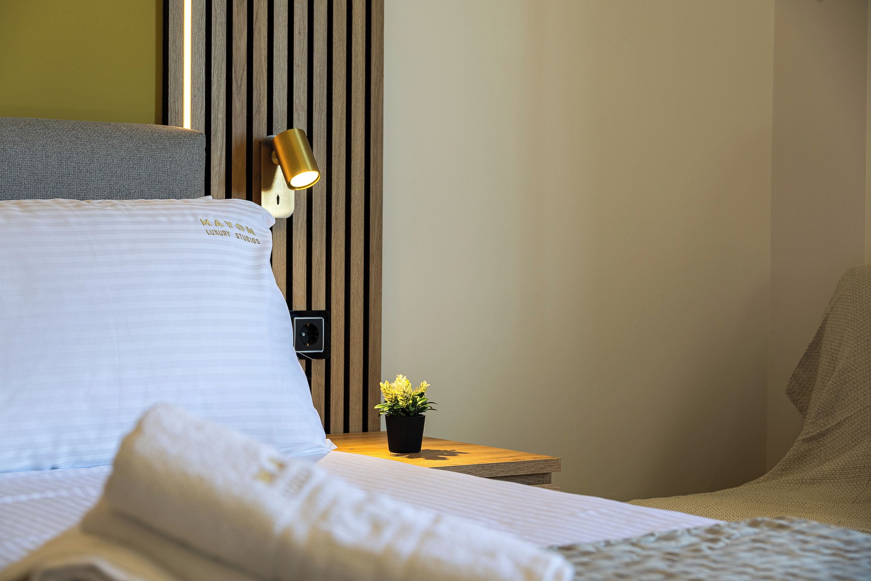 A neatly made bed with a pillow, a bedside lamp, a small potted plant, and a wooden nightstand.