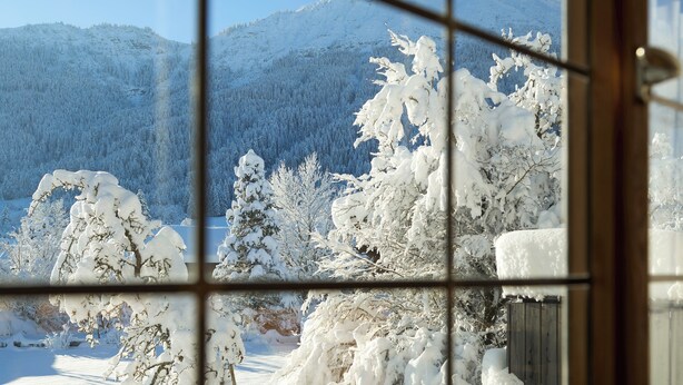 Ett snötäckt landskap med träd och berg, sett genom ett fönster.
