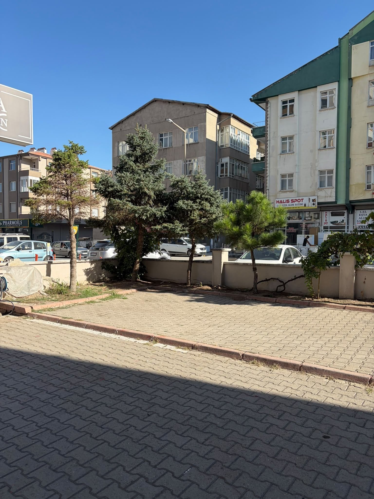 A paved area with trees and parked cars, buildings in the background, and a clear sky.