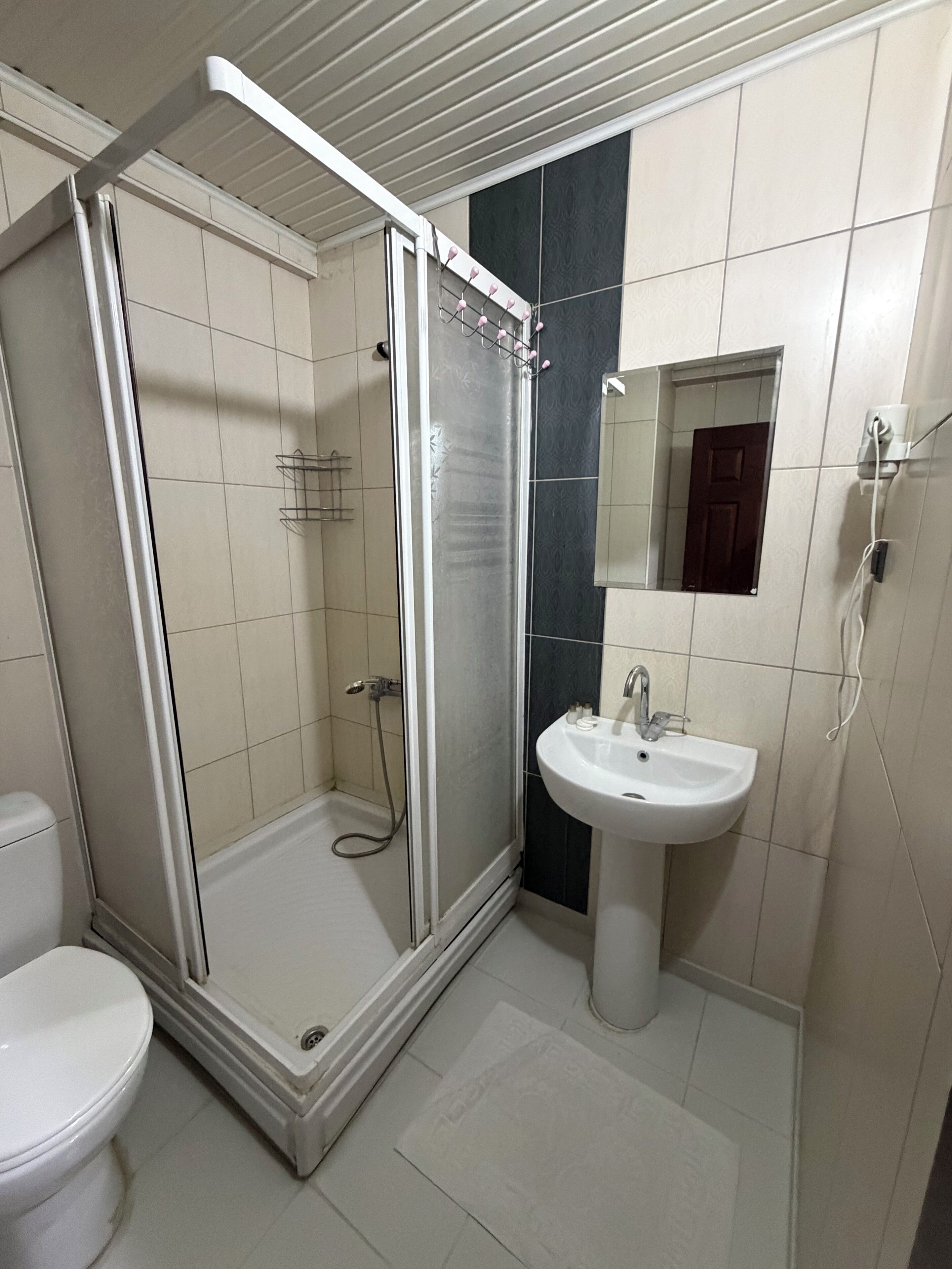 Shower, free toiletries, hair dryer, bidet