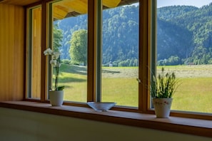 A room with large windows, wooden trim, and two potted plants on the windowsill.