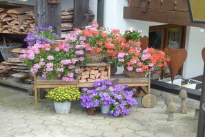 Exterior detail - Holiday apartment with 1 bedroom (Obermaiselstein)