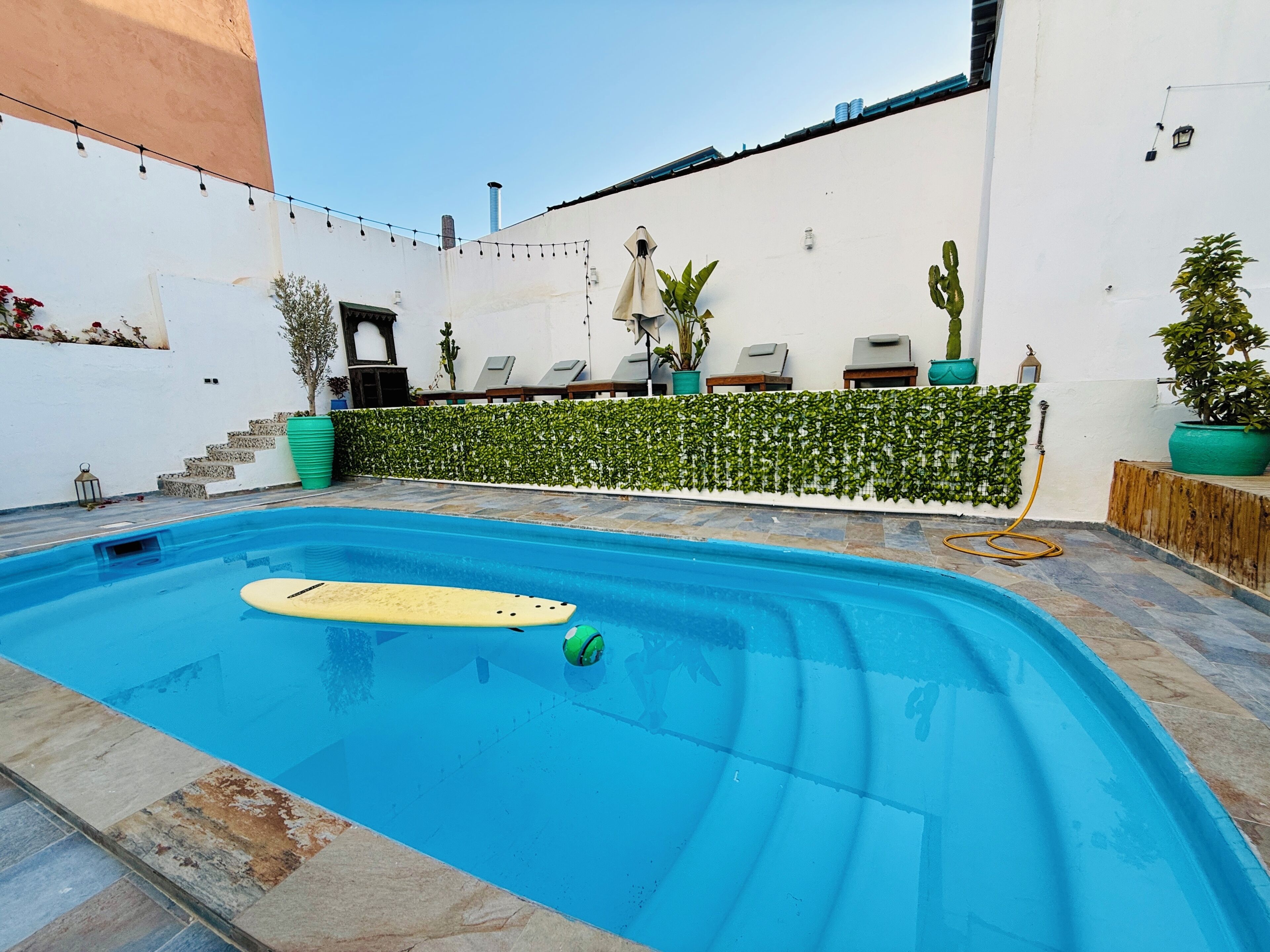 Ein Pool mit Liegebereich, Topfpflanzen und einer Treppe.