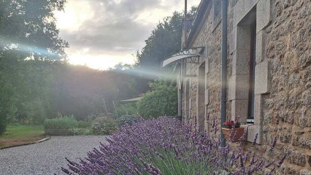 A stone building with a gravel pathway and lavender plants.