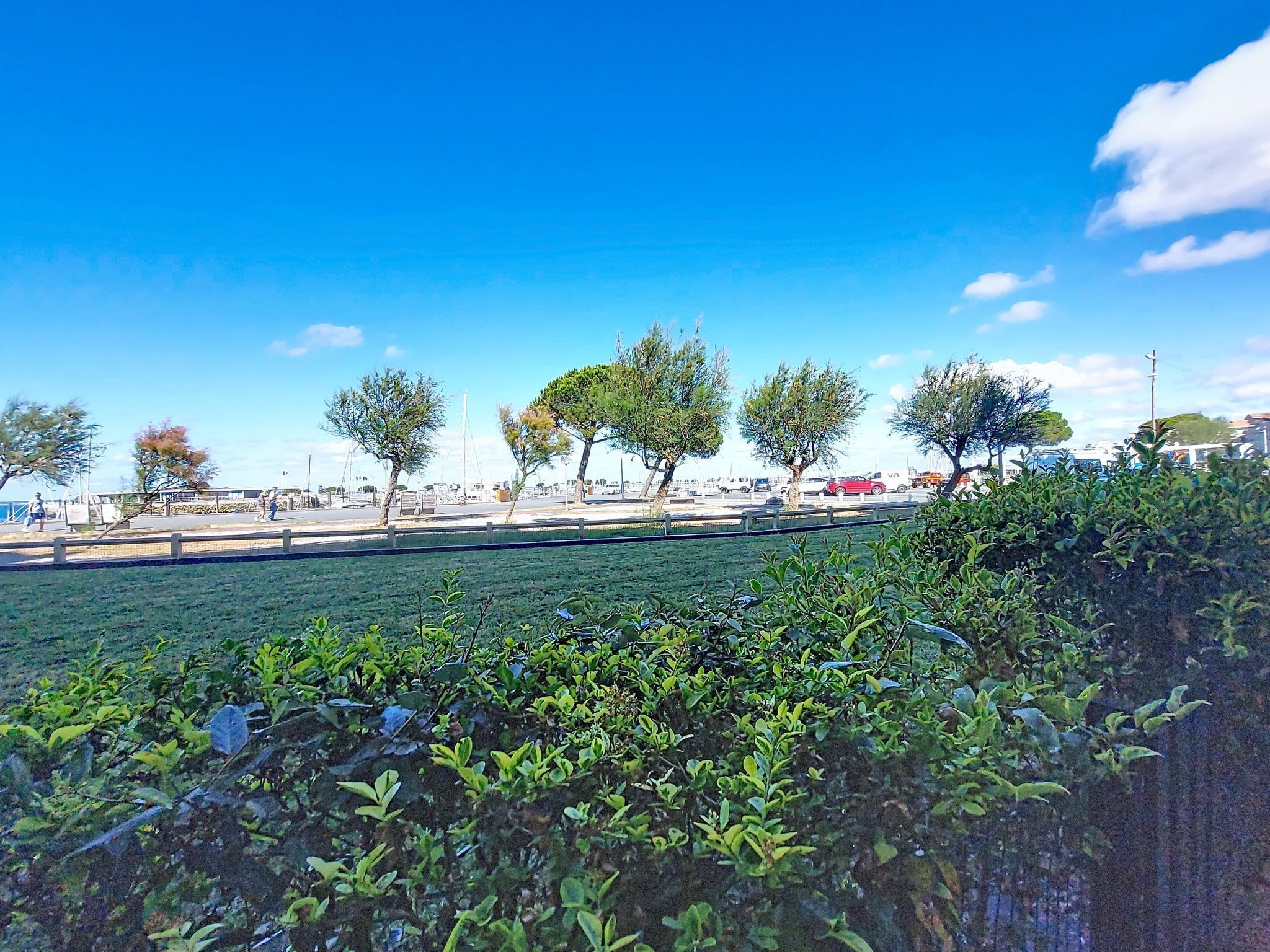 A coastal view with a clear sky, a grassy area, and trees.