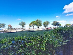 Eine Küstenansicht mit klarem Himmel, einer grünen Wiese und Bäumen.