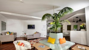 Ein modernes Wohnzimmer mit einer Couch, einem Sessel, einem Couchtisch und einer großen Küstertopfpflanze.