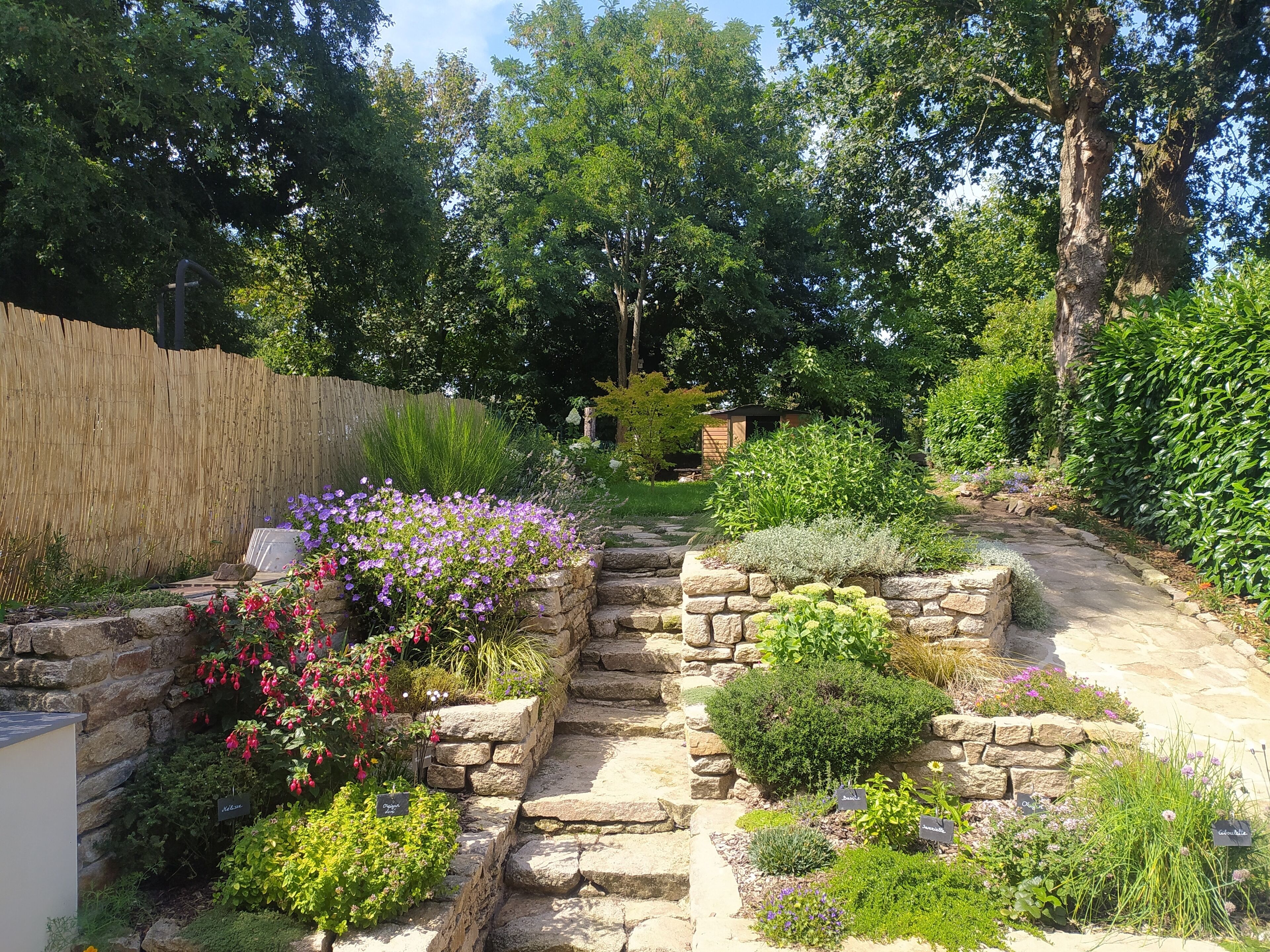 A stone pathway leading through a garden with various plants and a wooden fence on one side.