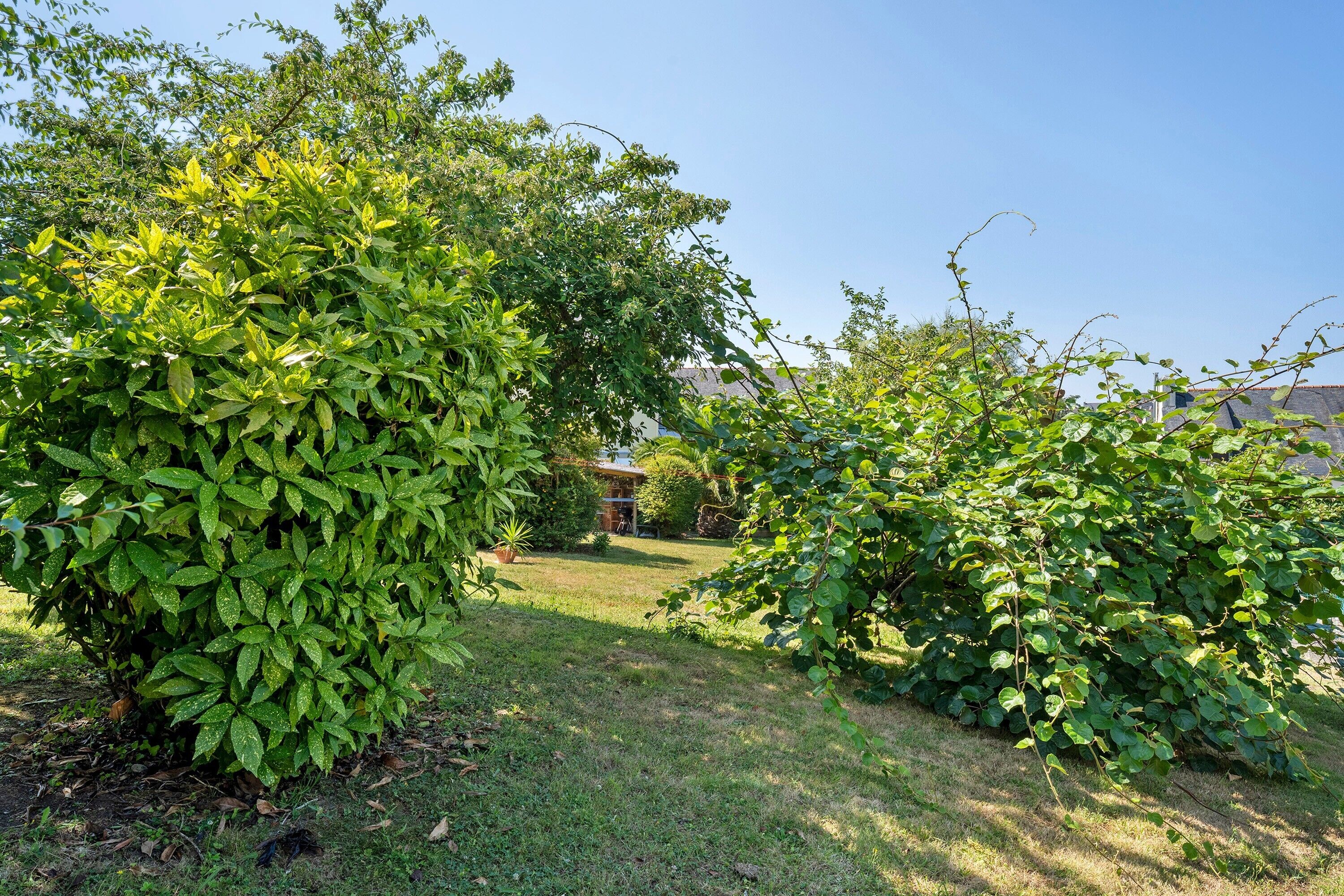 Een verzorgde tuin met diverse struiken en gazon.