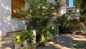Pátio com escadaria, plantas em vasos e porta de madeira.