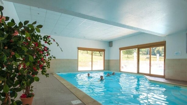 Una piscina interior con paredes de vidrio transparente, una planta en maceta y suelo de baldosas.