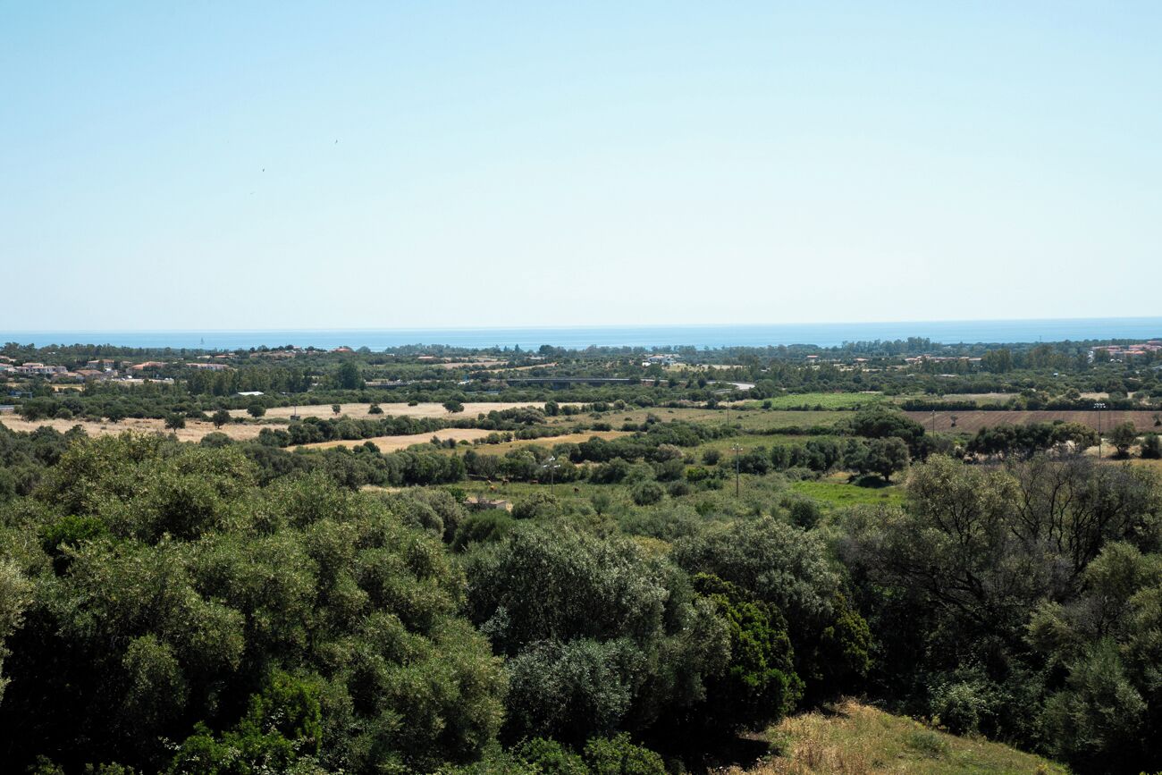 A landscape view with dense greenery and distant buildings.