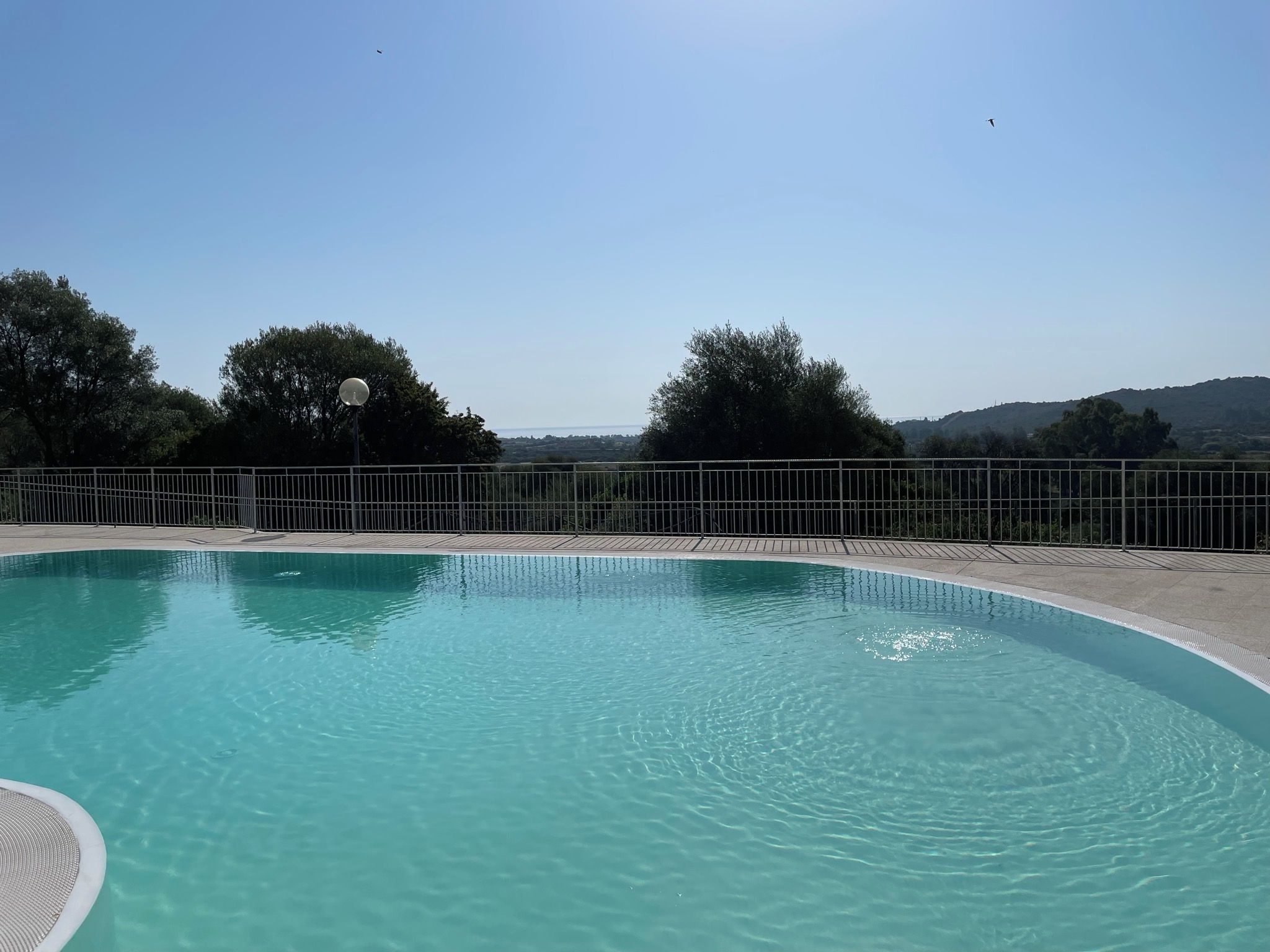 A clear blue swimming pool with a metal fence, surrounded by trees and hills in the background.