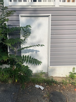 A white door with a metal handle, a grey siding wall, and green foliage in front.