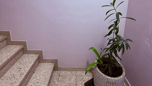 A staircase with a potted plant on the landing.