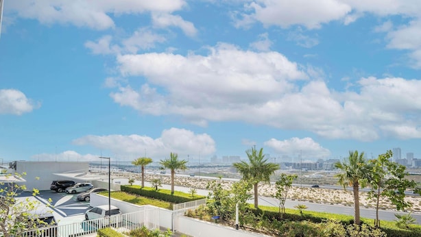 Terraço com vista para a cidade, palmeiras e carros estacionados.