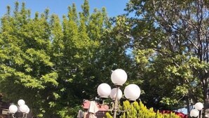 A garden with potted plants, a pathway, and a lamp post. - Corner Hotel  (Yerevan)