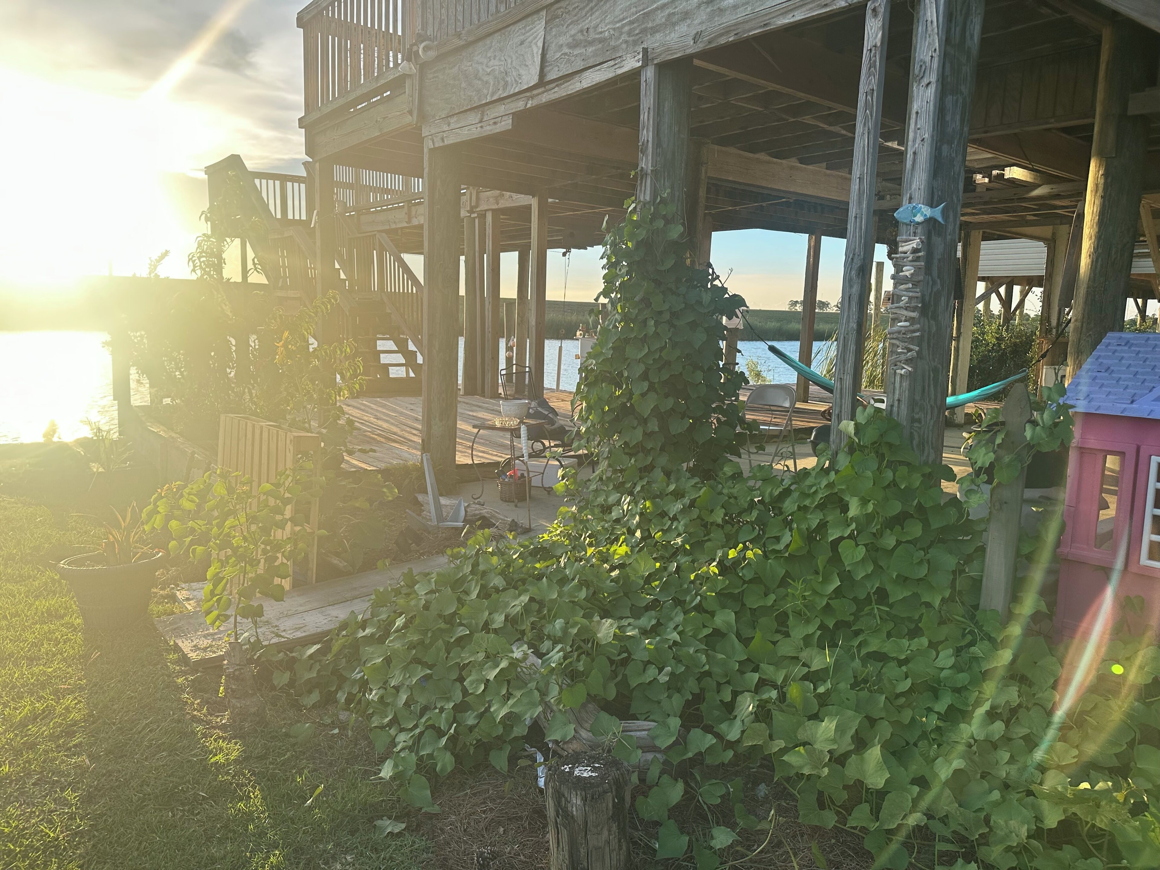 Terraza de madera con una silla y una mesita, rodeada de follaje.
